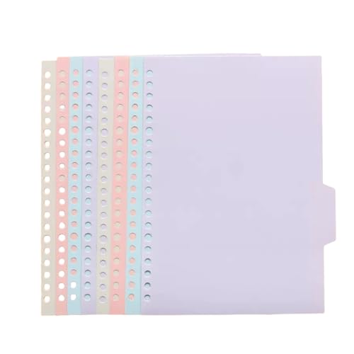 Amazon.co.jp: 16枚仕切り A5/20穴、B5/26穴、A4/30穴 ルーズリーフ